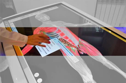 Фото интерактивный анатомический стол «пирогов», модель «пирогов i»