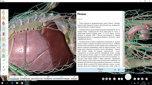 Фото интерактивный анатомический стол «пирогов», модель «пирогов i»